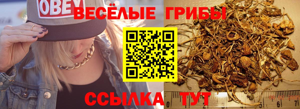 Галлюциногенные грибы MAGIC MUSHROOMS Кинель