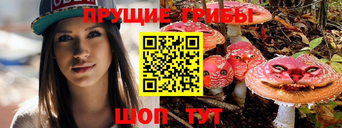 Галлюциногенные грибы MAGIC MUSHROOMS  Вход с VPN  Галлюциногенные грибы Psilocybe  Кинель 